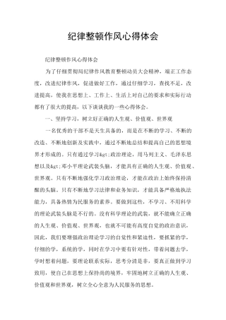 纪律整顿作风心得体会