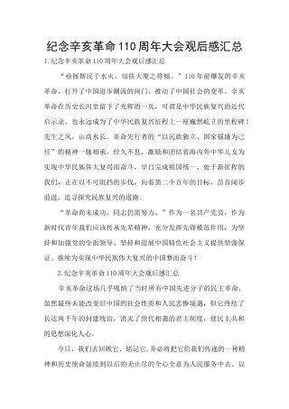 纪念辛亥革命110周年大会观后感汇总