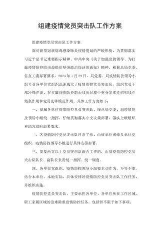 组建疫情党员突击队工作方案
