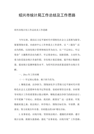 绍兴市统计局工作总结及工作思路