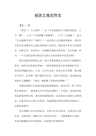 经历之我见作文