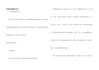 给母亲的感谢信5篇