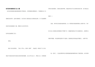给母亲的感谢信汇总三篇