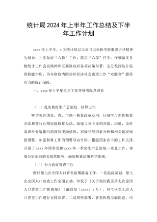 统计局2024年上半年工作总结及下半年工作计划