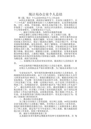 统计局办公室个人总结