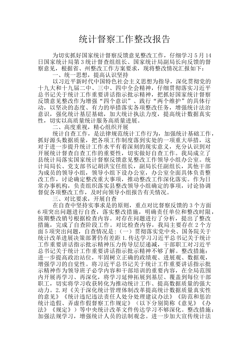 统计督察工作整改报告_第1页