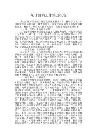 统计督察工作整改报告