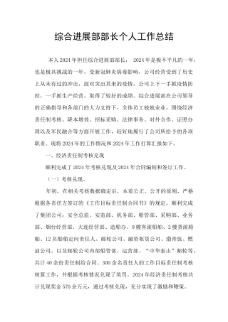综合发展部部长个人工作总结
