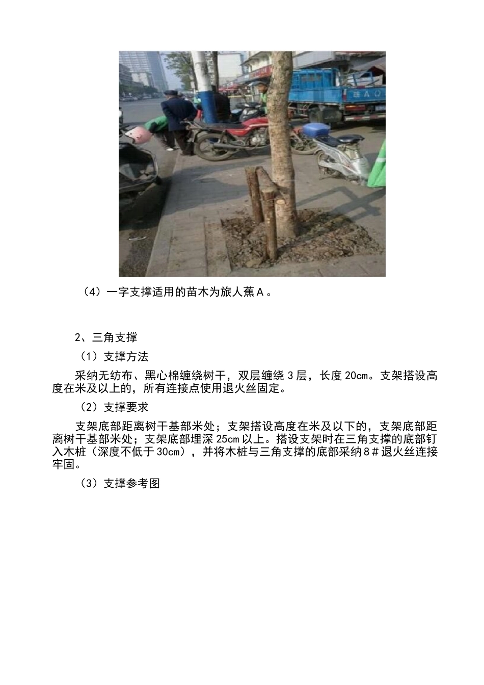 绿化支撑方案_第2页