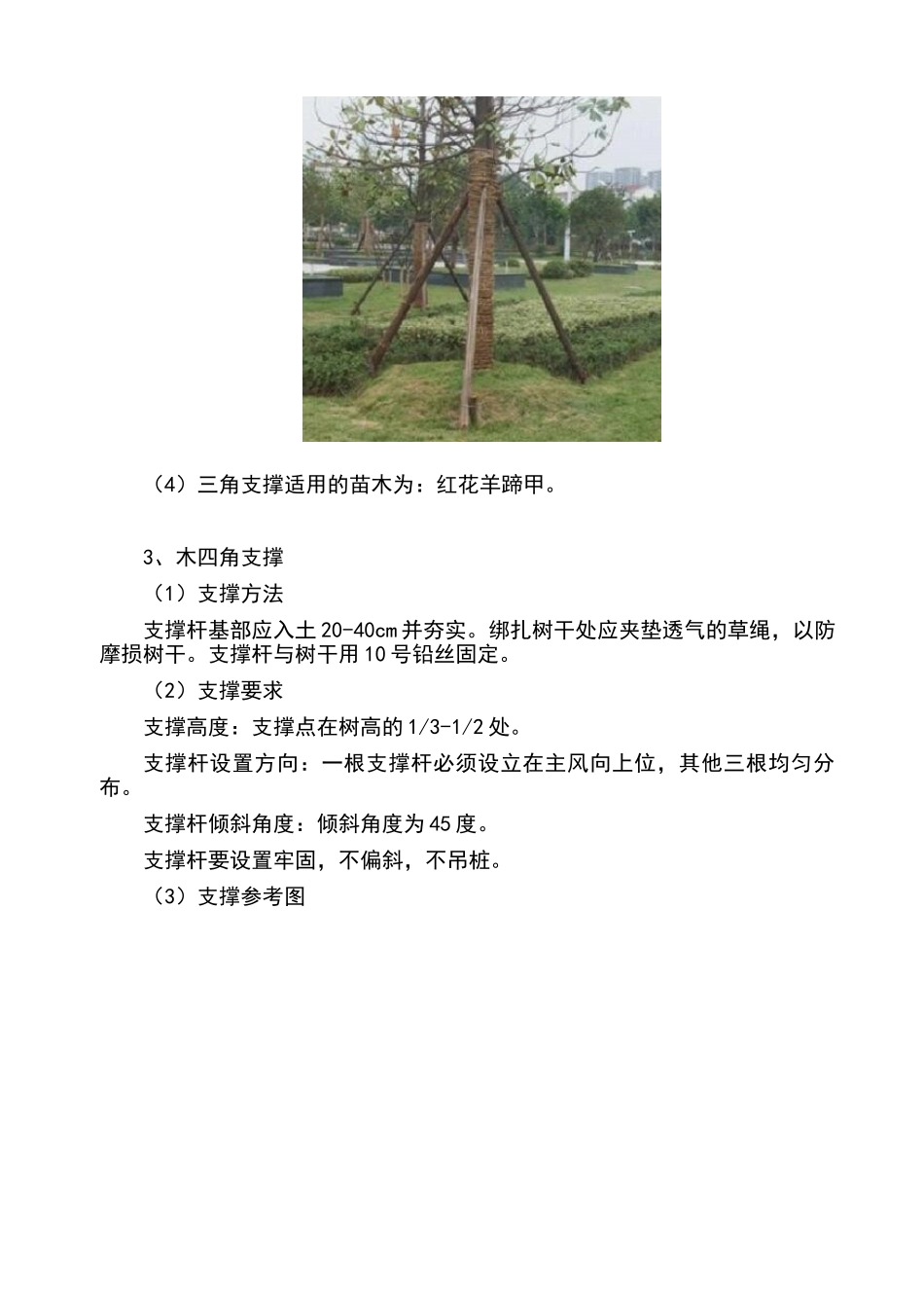 绿化支撑方案_第3页