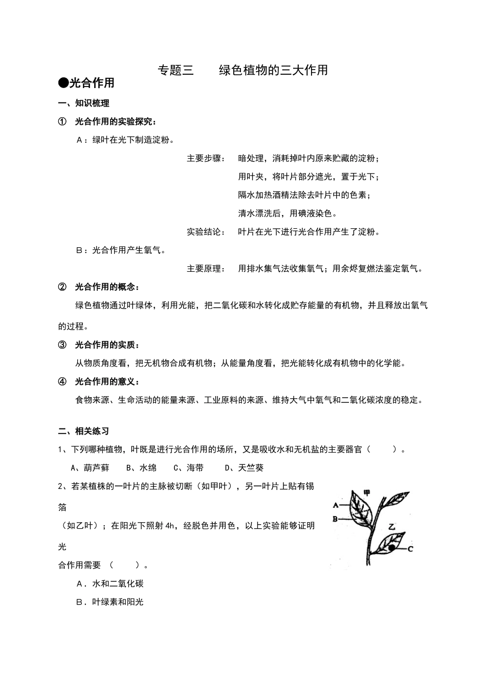 绿色植物的三大作用_第1页