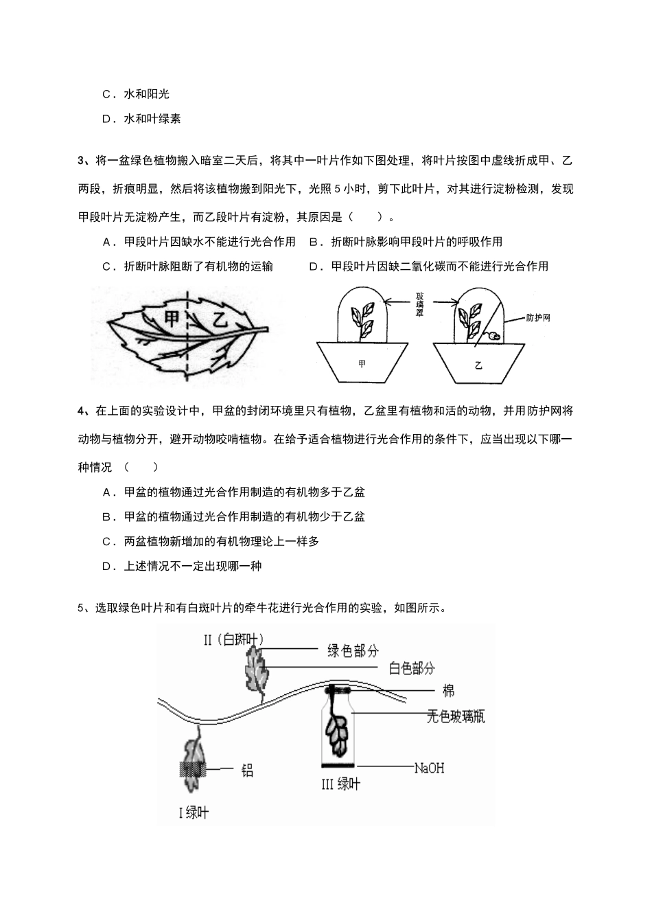 绿色植物的三大作用_第2页