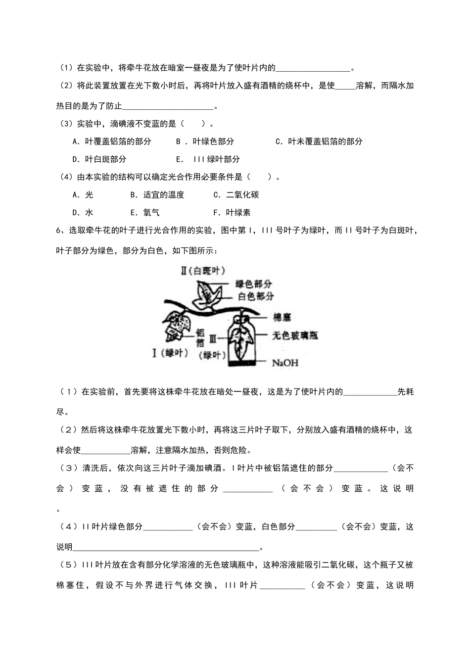 绿色植物的三大作用_第3页