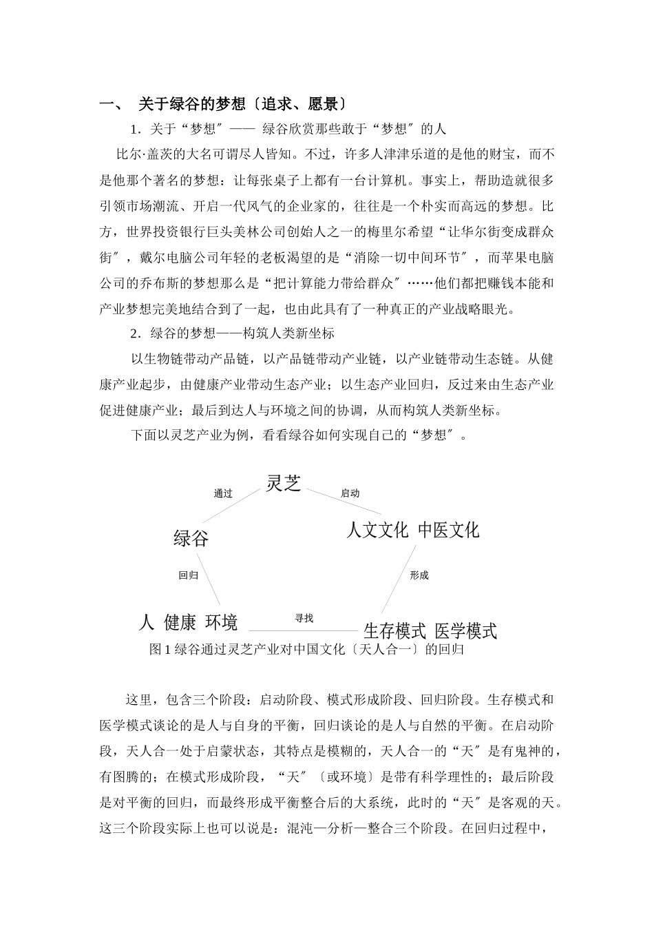 绿谷企业战略概要_第3页
