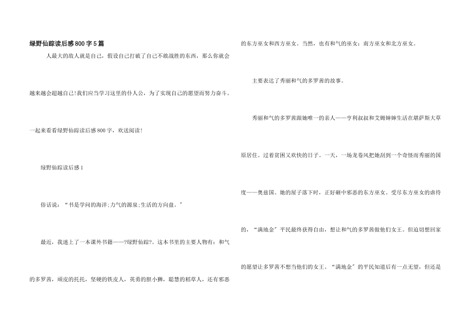绿野仙踪读后感800字5篇_第1页