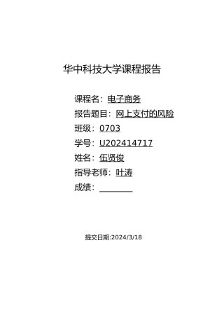 网上支付的风险