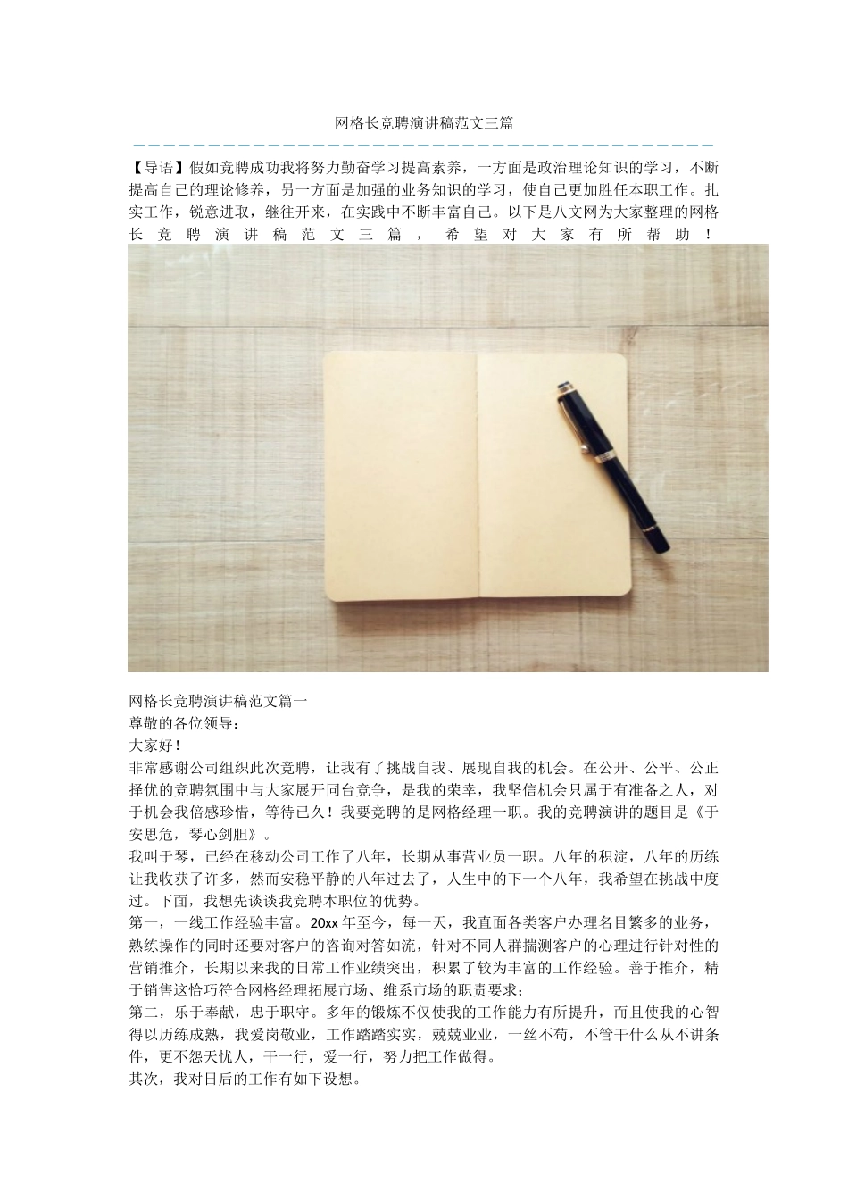 网格长竞聘演讲稿范文三篇_第1页