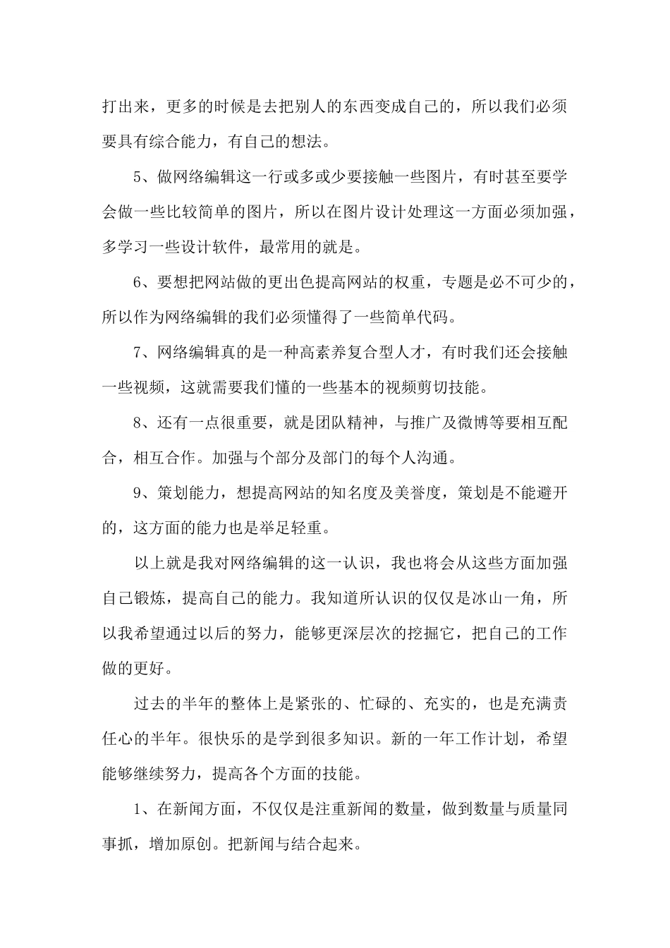 网站年终工作总结模板_第2页