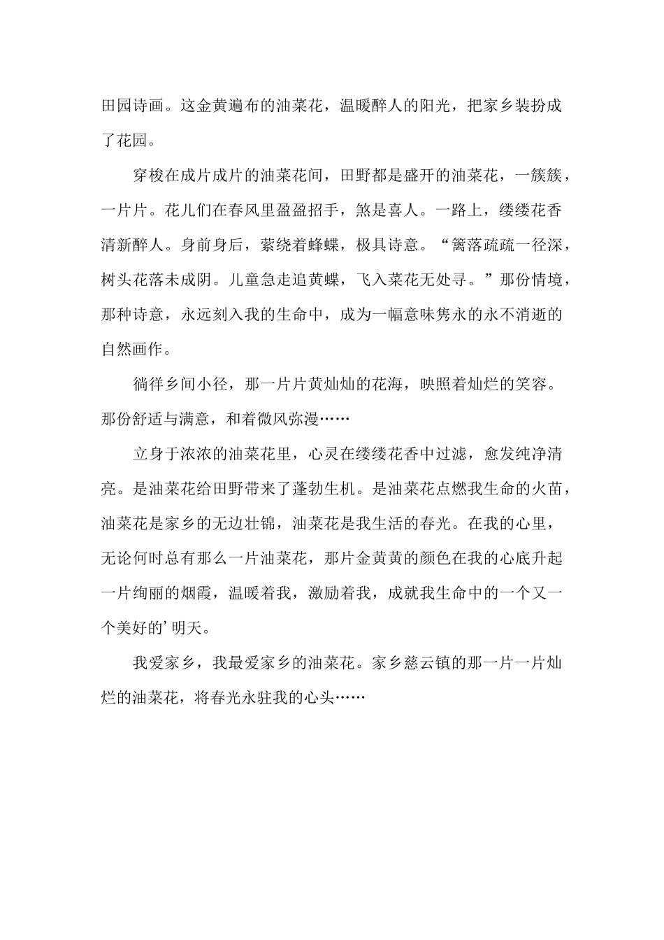 美丽的油菜花_第2页