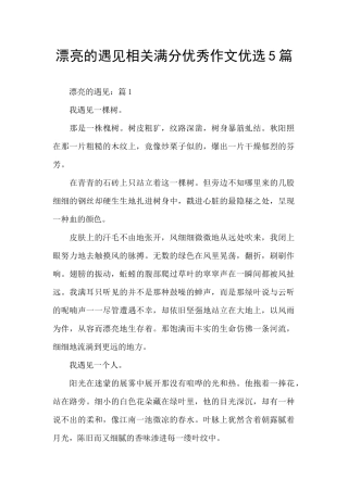 美丽的遇见相关满分优秀作文优选5篇