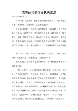 美丽的相遇作文优秀五篇