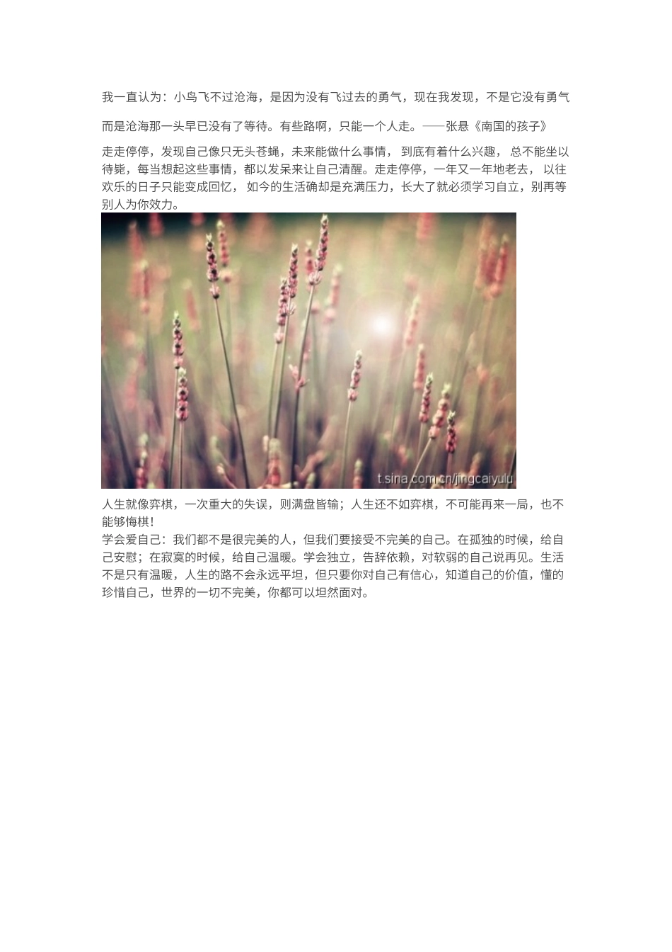 美文经典段子_第1页