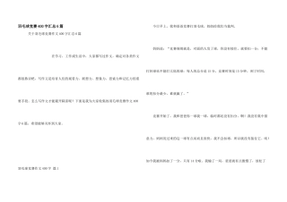 羽毛球比赛400字汇总6篇