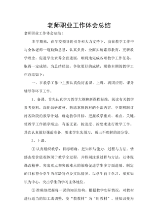 老师职业工作体会总结