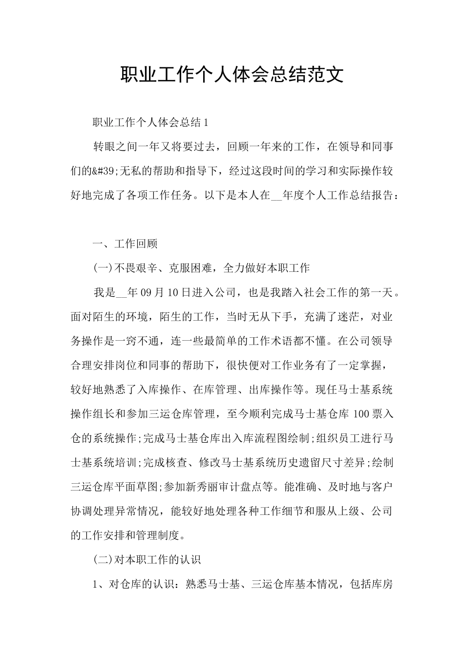 职业工作个人体会总结范文_第1页