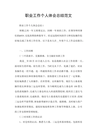 职业工作个人体会总结范文