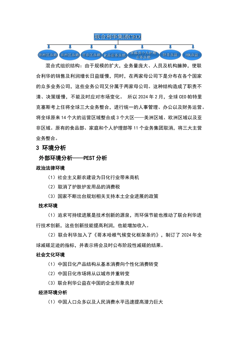 联合利华公司战略分析报告_第3页