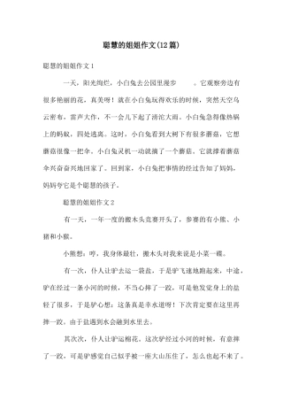 聪明的姐姐作文