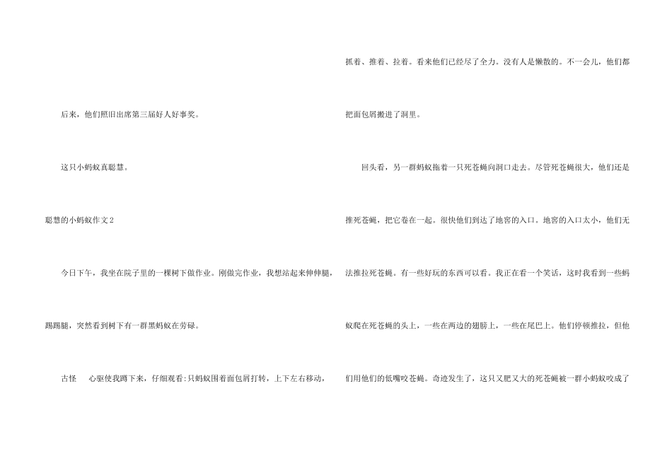 聪明的小蚂蚁_第2页