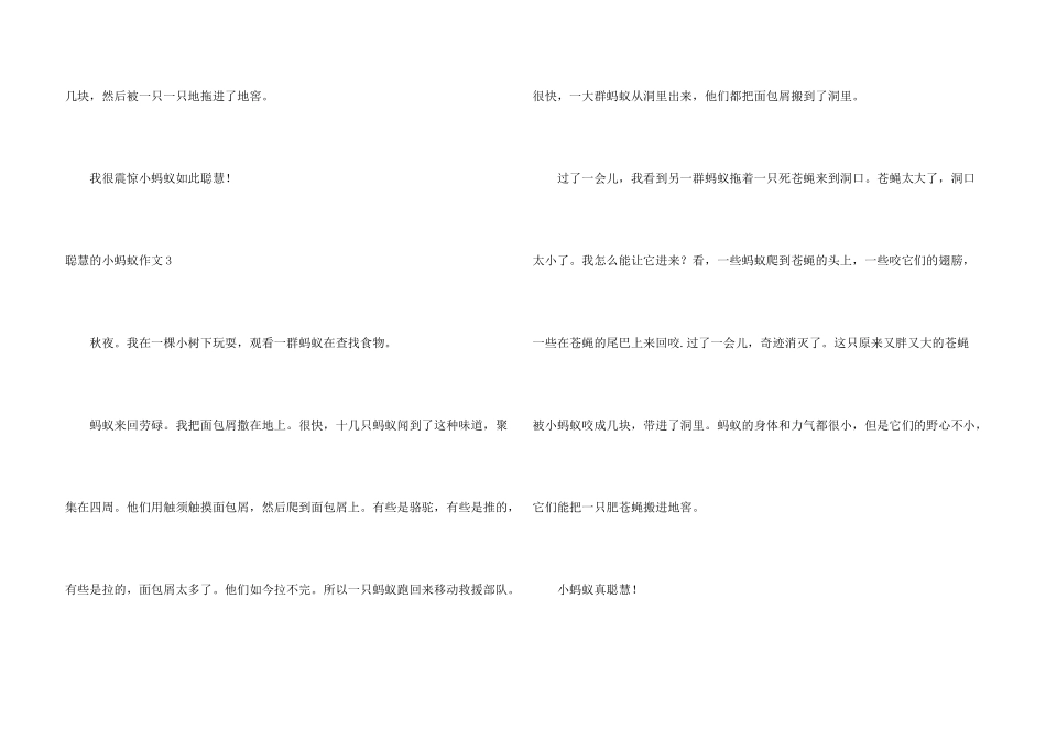 聪明的小蚂蚁_第3页