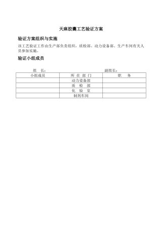 胶囊剂生产工艺验证文件