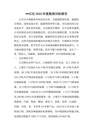 能效对标报告