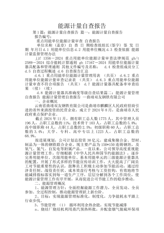 能源计量自查报告