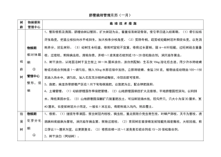 脐橙栽培管理月历