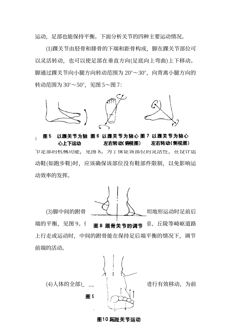 脚部人体工程学_第3页