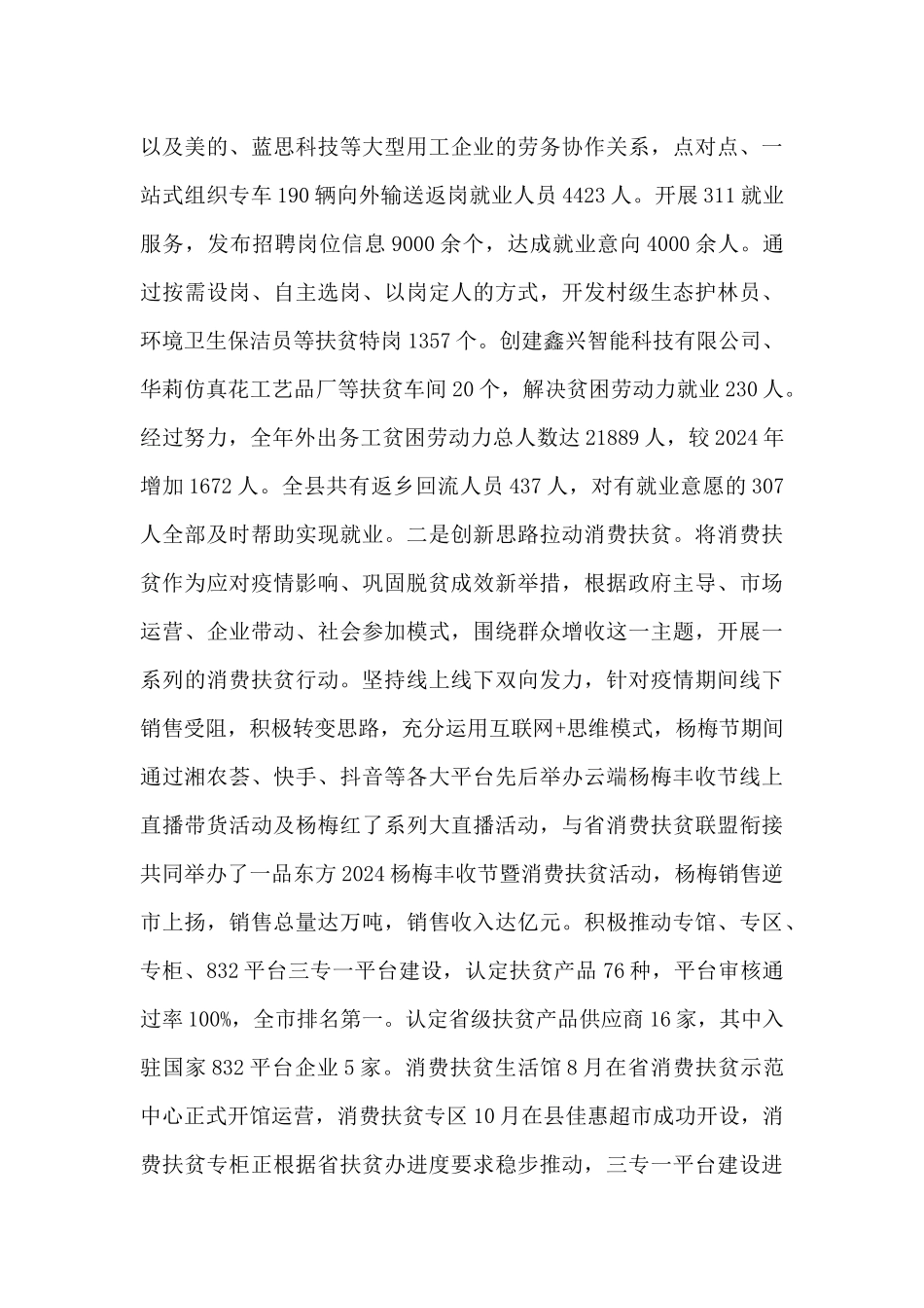 脱贫攻坚2024年工作总结及2024年初步工作打算_第3页