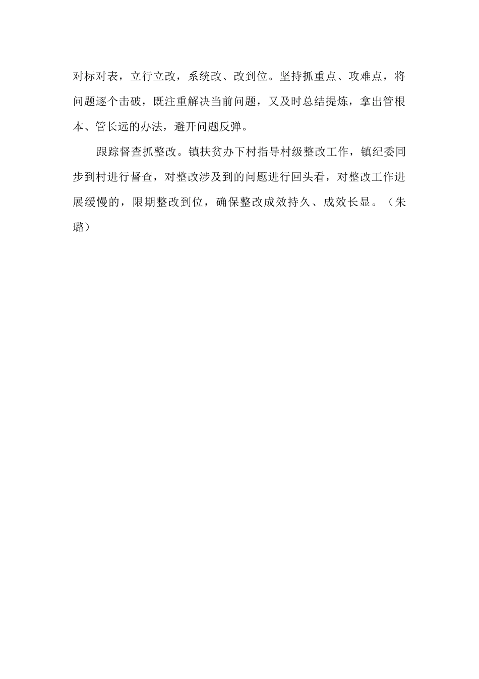 脱贫攻坚整改工作主要举措总结_第2页