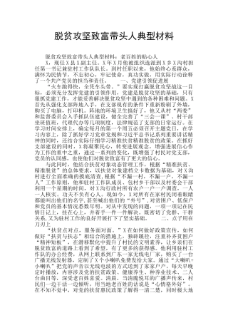 脱贫攻坚致富带头人典型材料