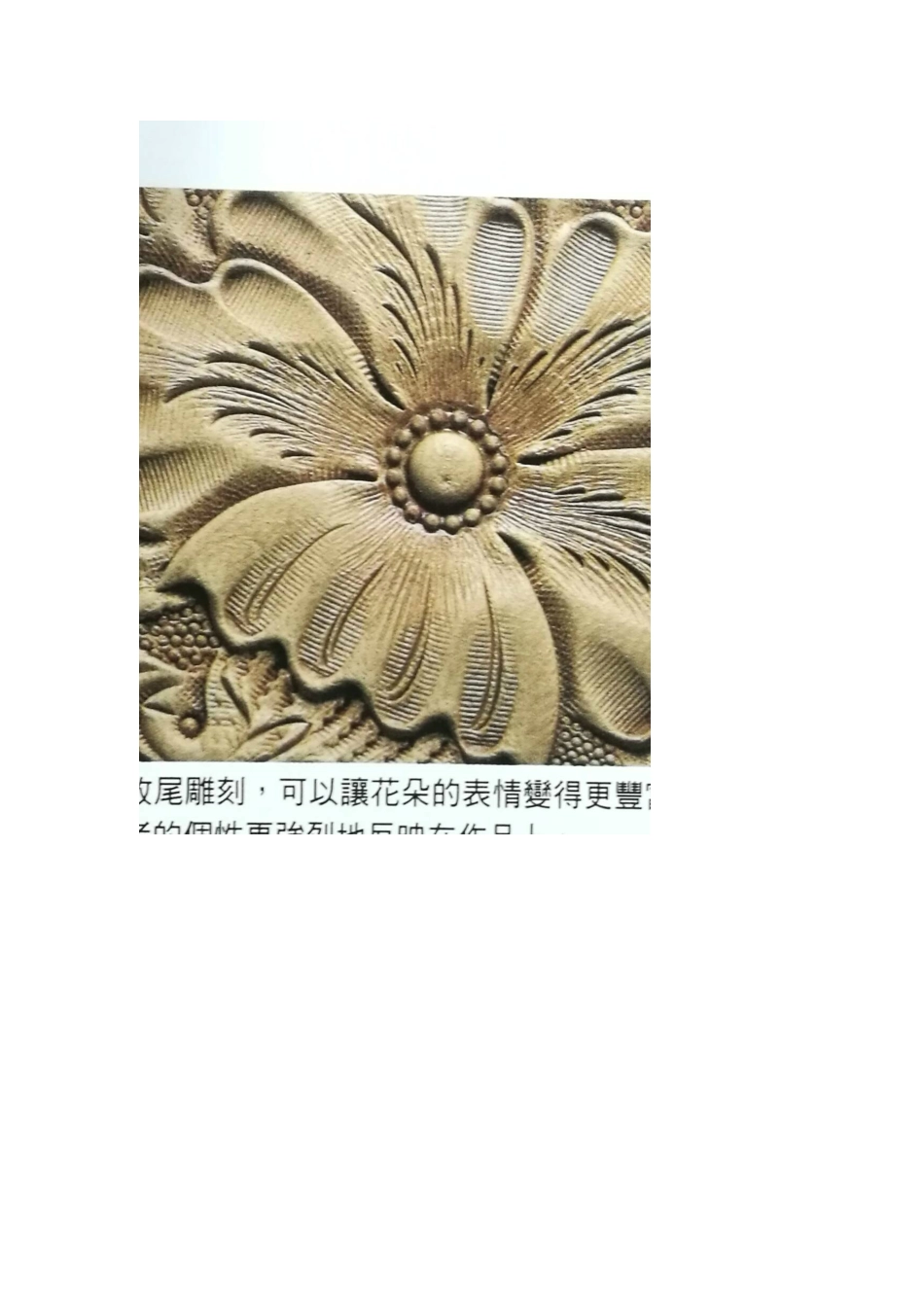 自然界的植物与皮雕唐草_第2页