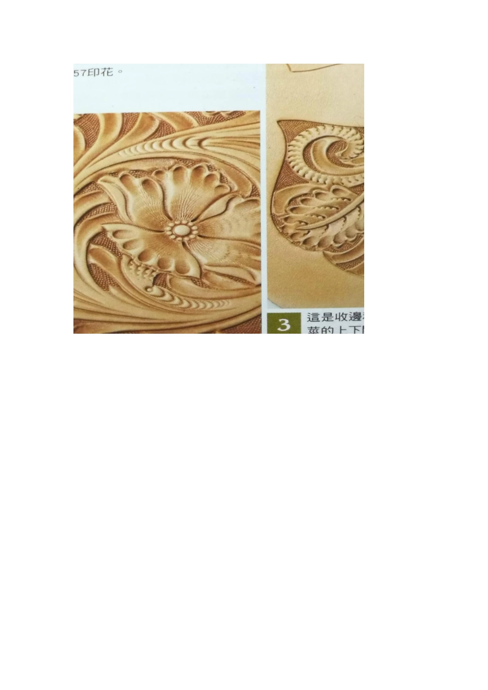 自然界的植物与皮雕唐草_第3页