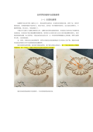 自然界的植物与皮雕唐草