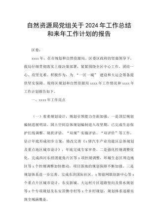 自然资源局党组关于2024年工作总结和来年工作计划的报告