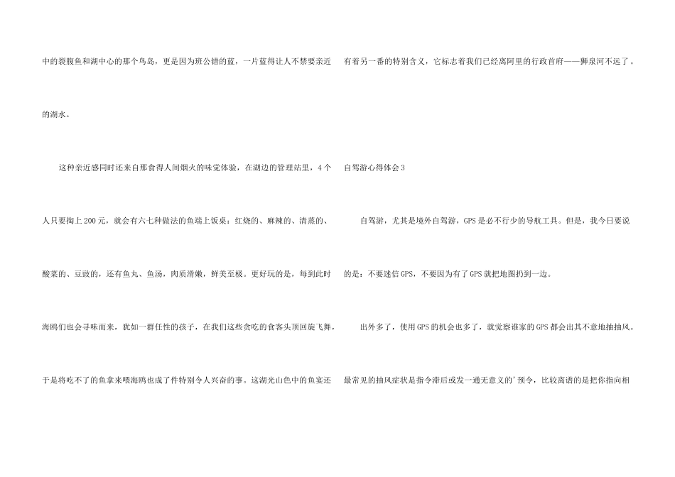 自驾游心得体会_第3页