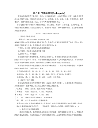 节肢动物门教案