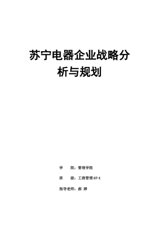 苏宁电器企业战略分析与规划