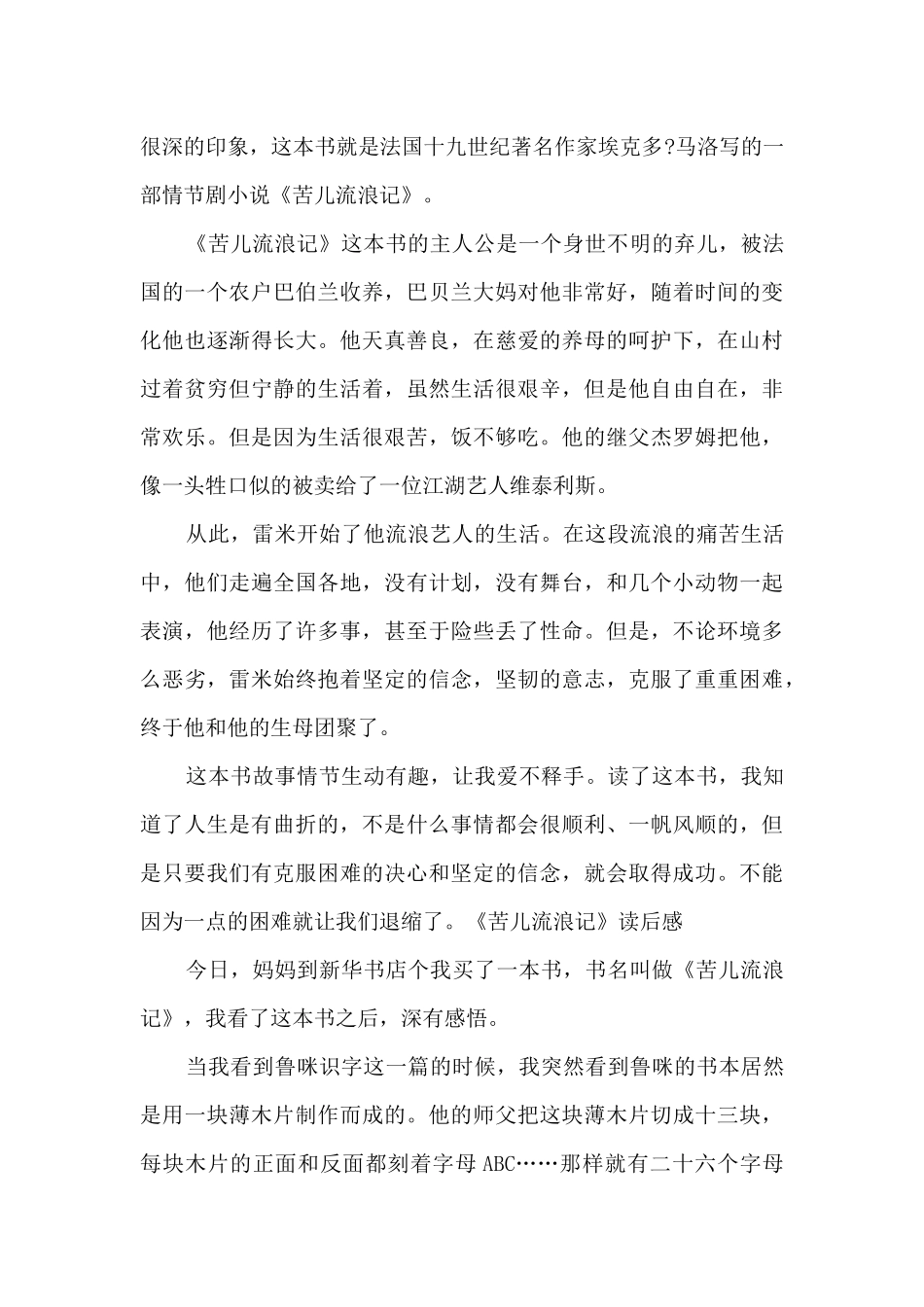 苦儿流浪记读后感300字多篇_第3页
